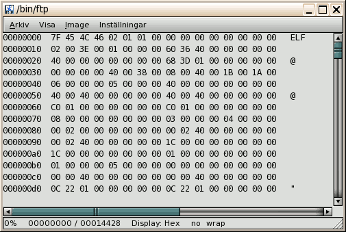 Hex mode with Cyrillic encoding