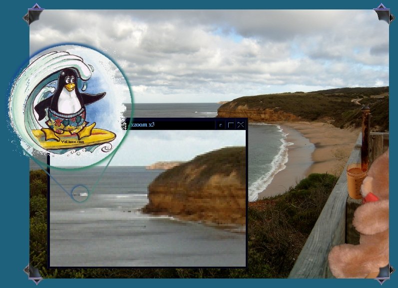 Xteddy kicks back on a cool cloudy day with some coffee; Tux is surfing it up at Bells Beach