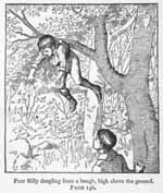 Poor Billy dangling from a bough, high above the ground.
