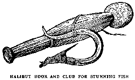 [Illustration: HALIBUT HOOK AND CLUB FOR
STUNNING FISH]