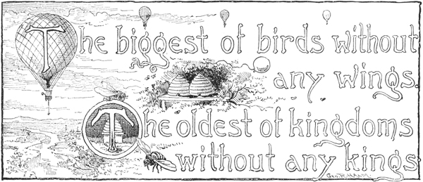 The biggest of birds without any wings. The oldest of
kingdoms without any kings.