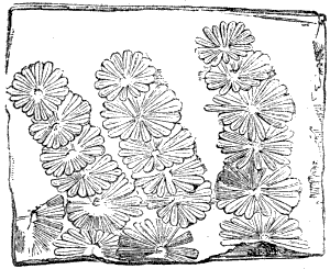 Fig. 67