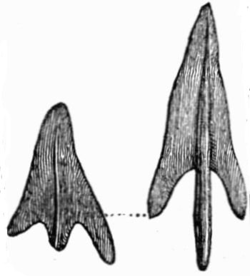 Bronze Arrow-heads