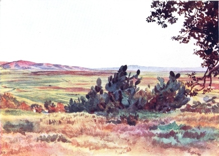 THE PLAIN OF ESDRAELON, FROM FOOT OF TABOR, WITH THE
VILLAGE OF NAIM IN DISTANCE

Plain full of green wheat. Mountain to left is “Little Hermon,” on which
the village of Naim stands. Towards sunset.